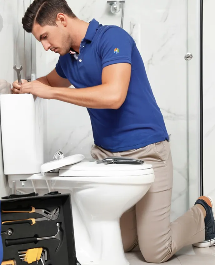 Toilet Repair